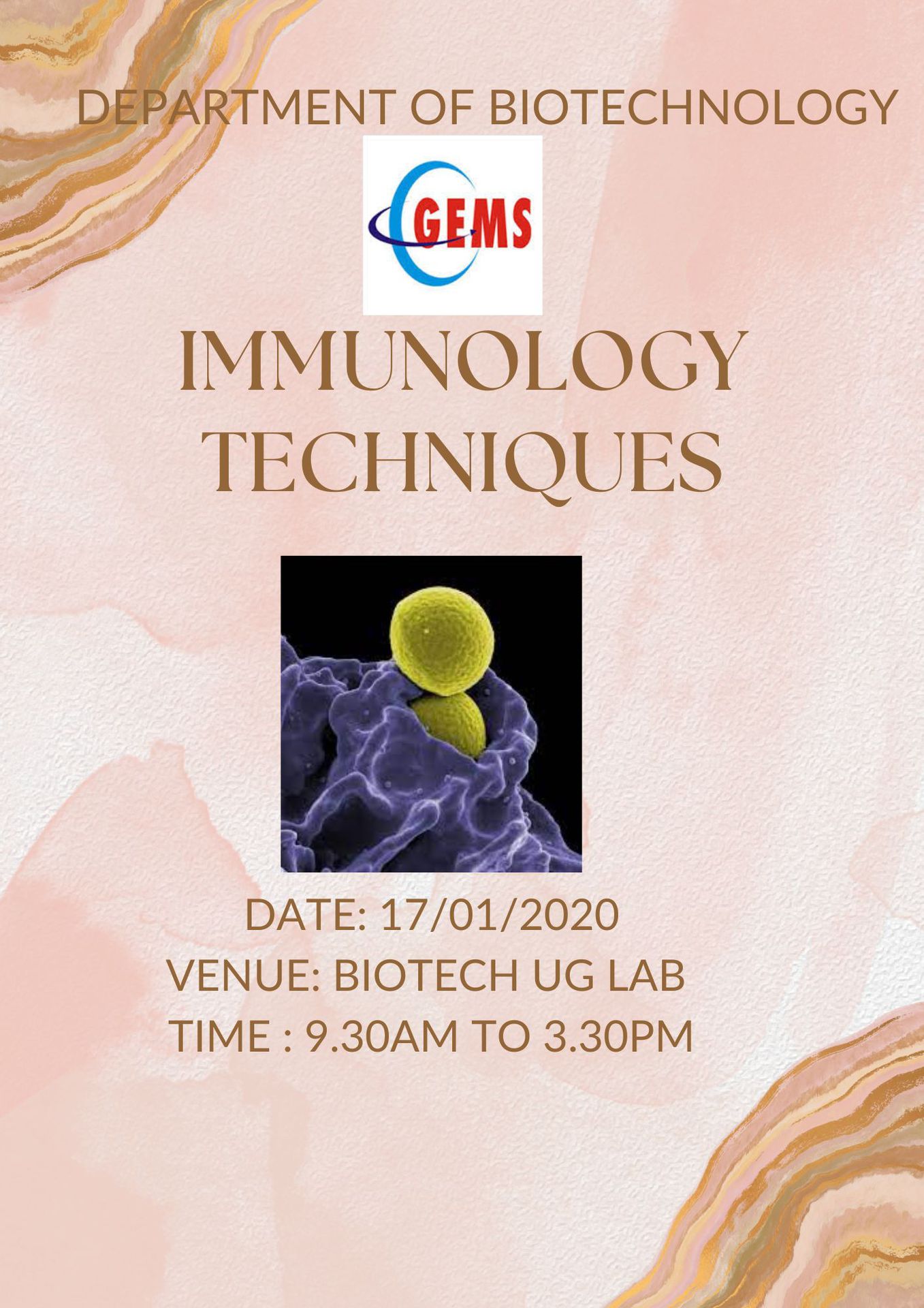 Immunology and Immuno Techniques